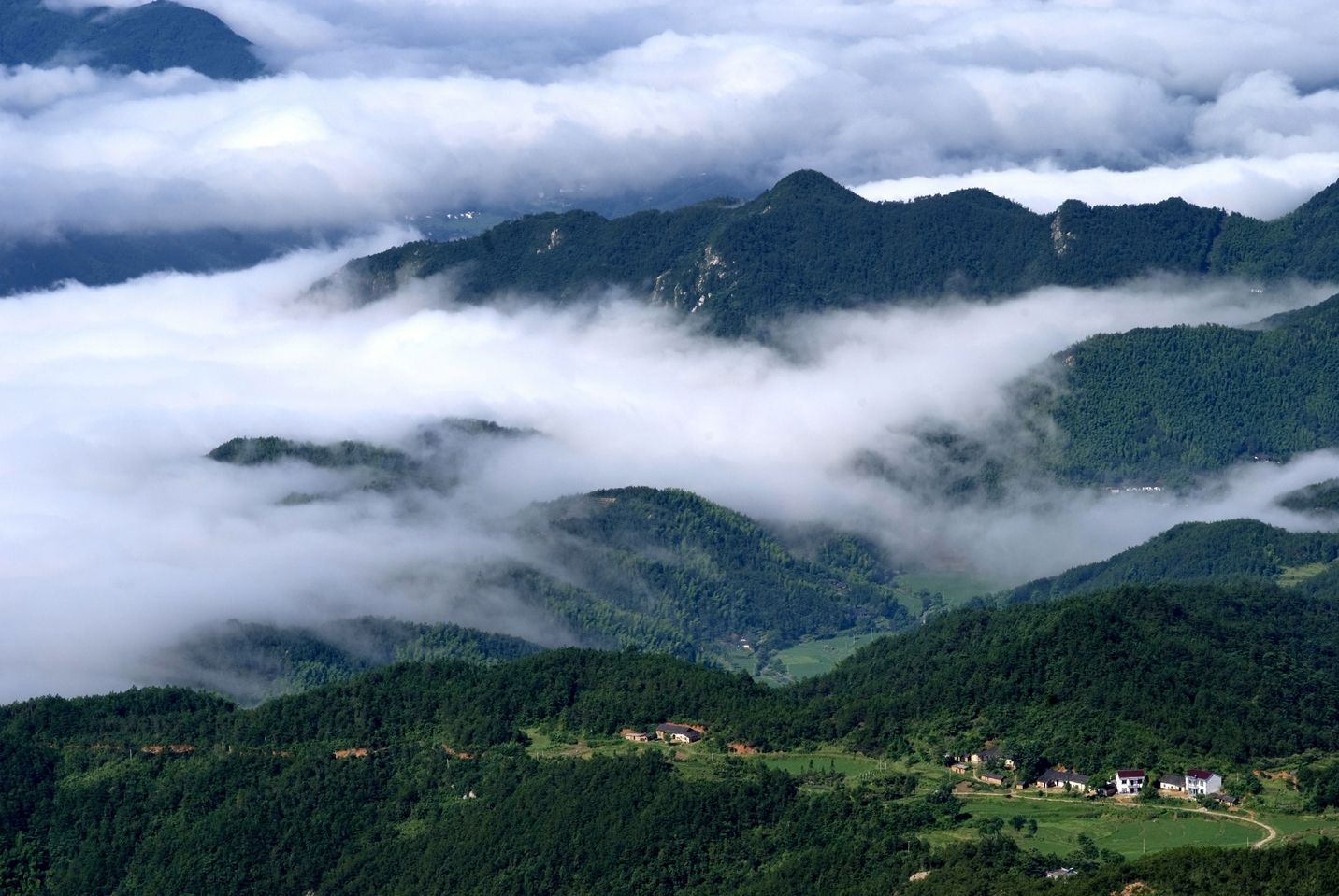 高山云雾出好茶的原因_茶文化知识大全_太友帮