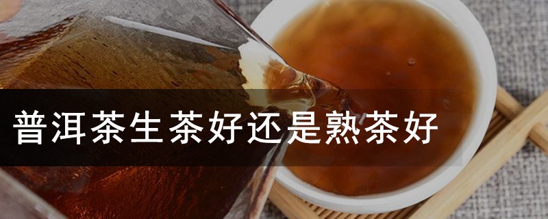 普洱茶生茶好还是熟茶好(普洱茶生茶和熟茶对比)_茶文化知识大全_太友帮