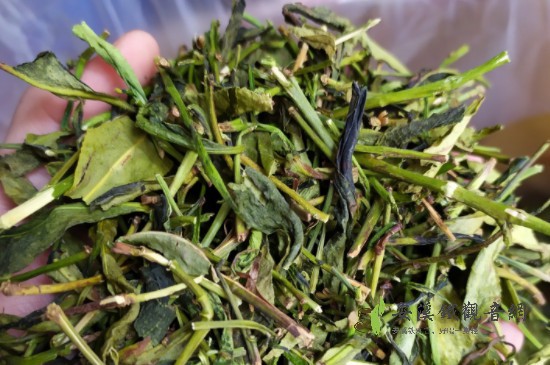 鸭屎香是什么茶？功效