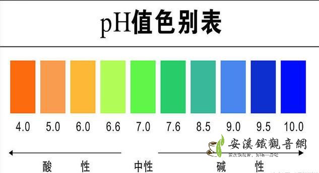 碱性茶叶有哪些_茶文化知识大全_安溪铁观音网